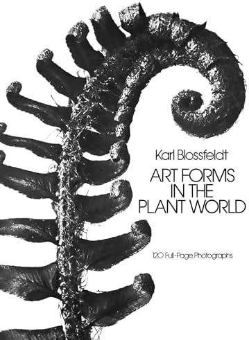 アート・デザイン・音楽 KARL BLOSSFELDT WORKING COLLAGES Karl Blossfeldt: Working Collages: Wilde, Ann, Wilde, Jurgen